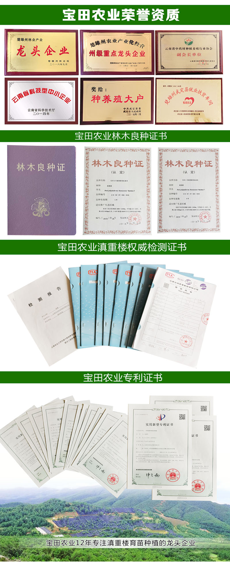 雲(yun) 南918博天堂農(nong) 業(ye) 