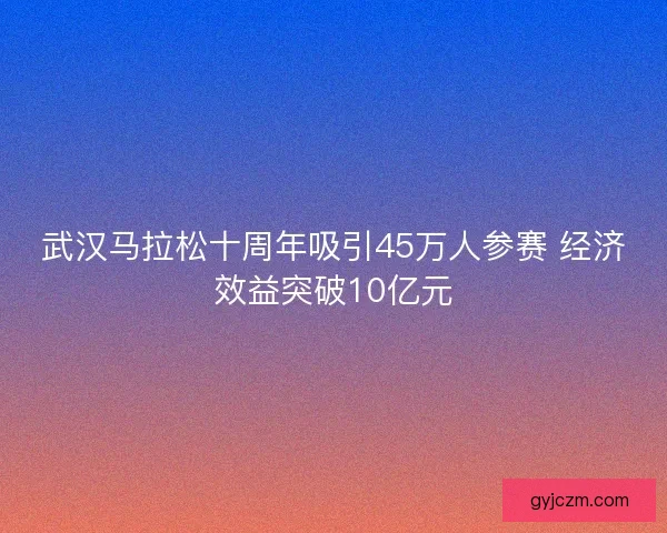 武汉马拉松十周年吸引45万人参赛 经济效益突破10亿元